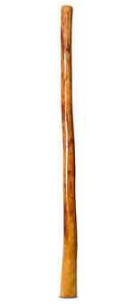 Gloss Finish Didgeridoo (TW1418)